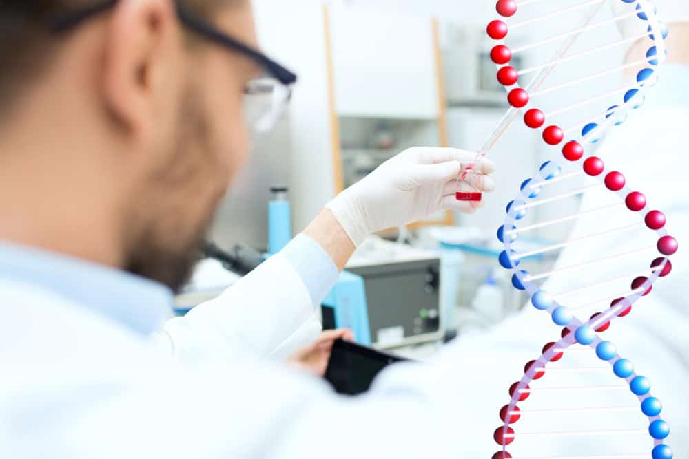 The Role of DNA Fragmentation Testing in Male IVF Outcomes