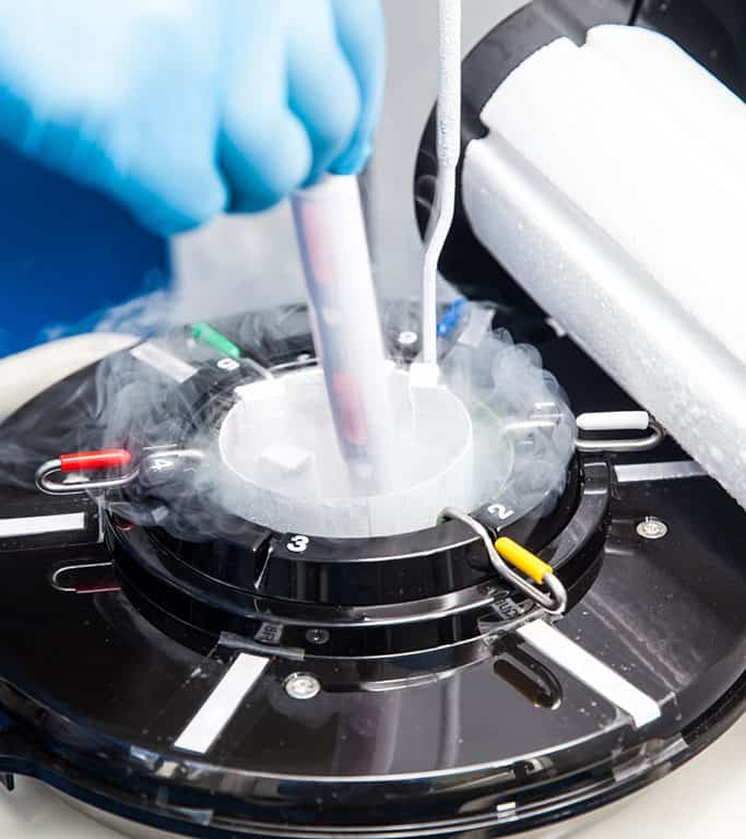 Minimally Invasive Gynecologic Surgery: All You Need to Know