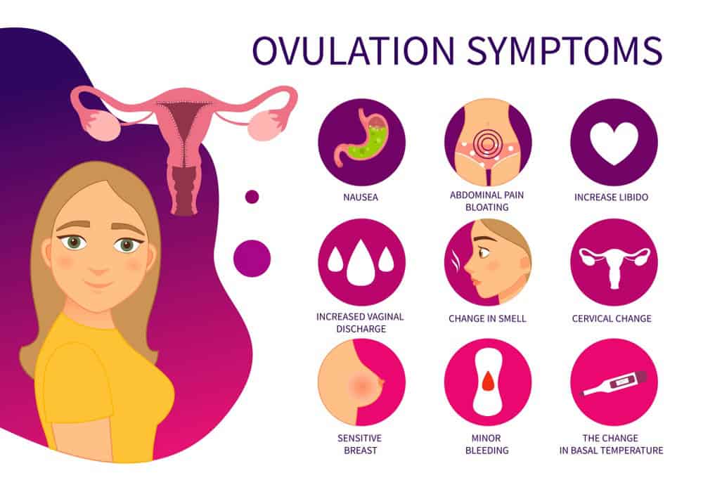 Signs Ovulation is Over: You Need to Know If You Ovulated or Not