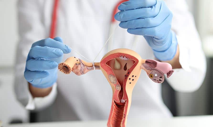How IVF Services in Ashok Vihar, Pitampura, Rohini, and Paschim Vihar Can Help