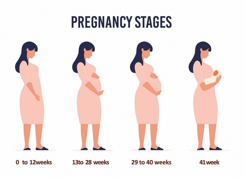 After How Many Weeks IVF Pregnancy Is Safe